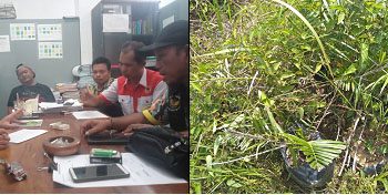 Puluhan Milyar Negara Merugi Dalam Peremajaan Sawit di Kota Subulussalam, Kapolda & Kajati Aceh Harus Mengusut nya