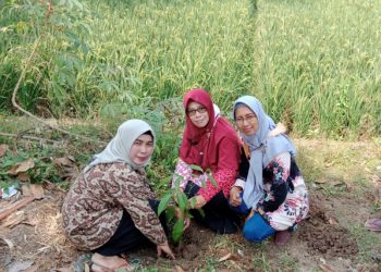 Jumat Menanam, Bersama Kades Darawolong