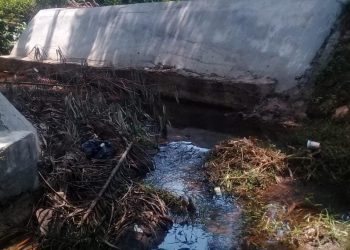 Rp. 990 Jt Lebih Pekerjaan Bronjong Sungai Sapat Kab.Seluma Tahun 2022, Hanyut di Hantam Banjir, Diduga Ada Salah Dalam Pengerjaan