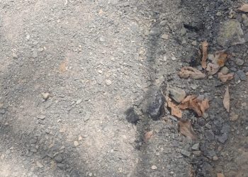 Proyek Jalan Lapen dan Talut, Di Desa Sido Luhur Di duga di Kerjakan Asal Jadi Saja