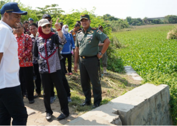 Bupati Indramayu dan BBWS Cimancis Sinergi Normalisasi Sungai Cimanuk Lama