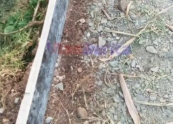 Proyek Peningkatan Jalan Di Dusun Tenjojaya  Disorot: Ketua Aliansi Ormas Pakisjaya Angkat Bicara Setiap Ada Temuan Pasti Akan Kami Laporkan