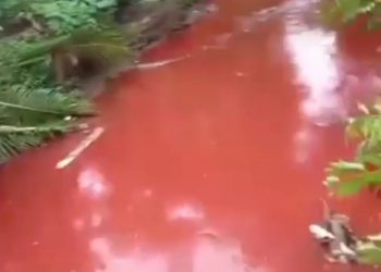 Sungai Kab Bekasi Tercemar Limbah, Kawali & RJN Bekasi Raya Minta KLHK RI SIDAK Perusahaan Nakal